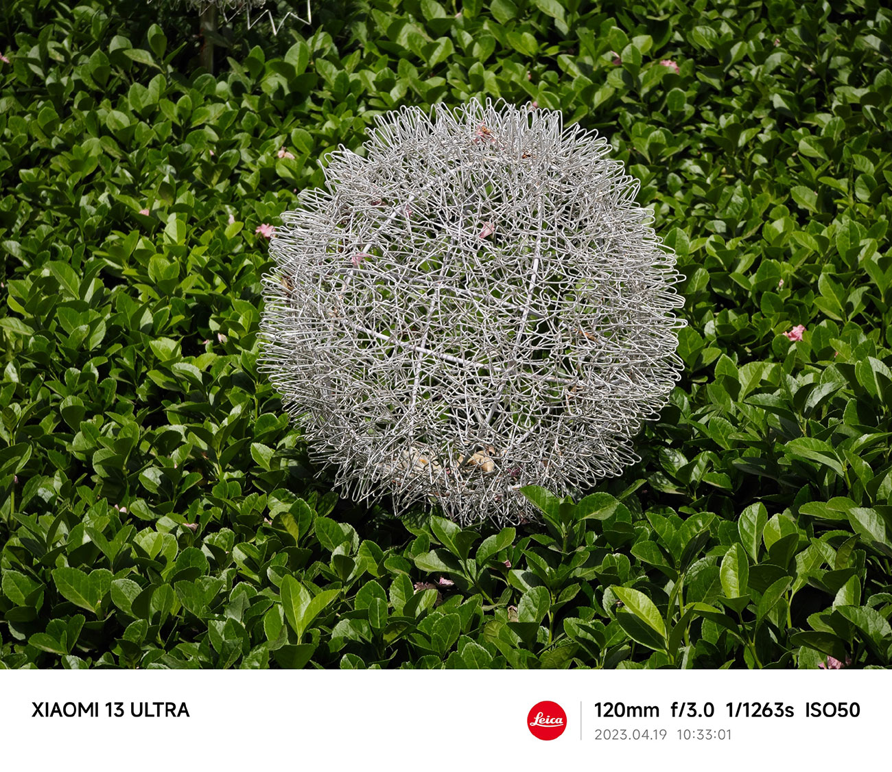 Примеры фото на камеру Xiaomi 13 Ultra